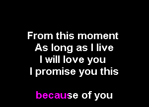 From this moment
As long as I live
I will love you
I promise you this

because of you