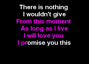 There is nothing
I wouldn't give
From this moment
As long as I live

I will love you
I promise you this