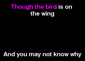 Though the bird is on
the wing

And you may not know why