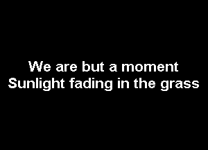 We are but a moment

Sunlight fading in the grass