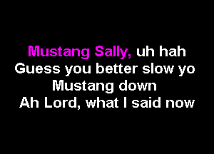 Mustang Sally, uh hah
Guess you better slow yo

Mustang down
Ah Lord, what I said now