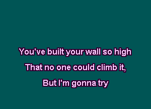 You've built your wall so high

That no one could climb it,

But I'm gonna try