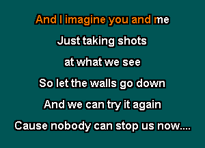 And I imagine you and me
Just taking shots
at what we see
So let the walls 90 down

And we can try it again

Cause nobody can stop us now....