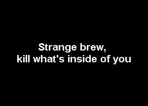 Strange brew,

kill what's inside of you