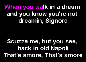 When you walk in a dream
and you know you're not
dreamin, Signore

Scuzza me, but you see,
back in old Napoli
That's amore, That's amore