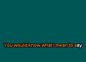 You would know what I mean to say