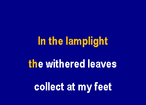 In the lamplight

the withered leaves

collect at my feet
