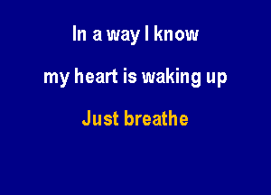 In a way I know

my heart is waking up

Just breathe