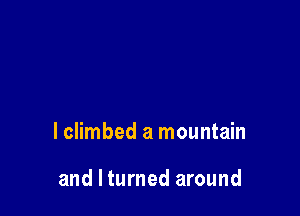 lclimbed a mountain

and I turned around