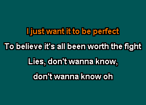Ijust want it to be perfect

To believe it's all been worth the fight

Lies, don't wanna know,

don't wanna know oh