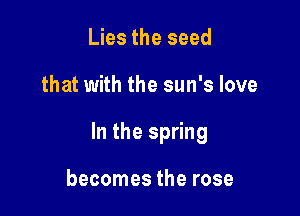 Lies the seed

that with the sun's love

In the spring

becomes the rose