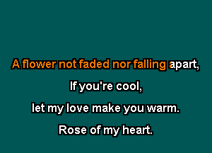 A flower not faded nor falling apart,

lfyou're cool,

let my love make you warm.

Rose of my heart.