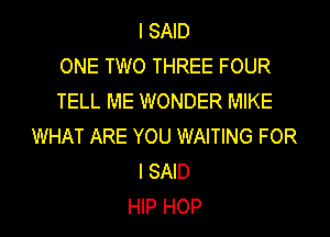 I SAID
ONE TWO THREE FOUR
TELL ME WONDER MIKE
WHAT ARE YOU WAITING FOR
I SAID
HIP HOP