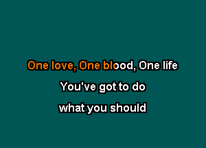 One love, One blood, One life

You've got to do

what you should