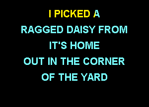 l PICKED A
RAGGED DAISY FROM
IT'S HOME

OUT IN THE CORNER
OF THE YARD