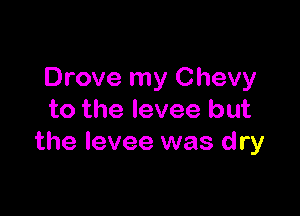 Drove my Chevy

to the levee but
the levee was d ry