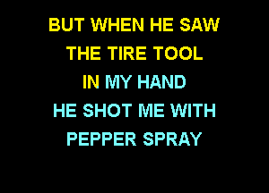BUT WHEN HE SAW
THE TIRE TOOL
IN MY HAND

HE SHOT ME WITH
PEPPER SPRAY