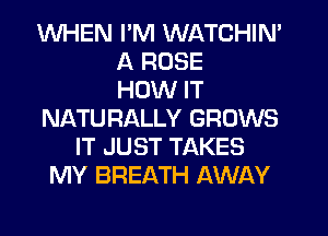WHEN I'M WATCHIN'
A ROSE
HOW IT
NikTU RALLY GROWS
IT JUST TAKES
MY BREATH AWAY