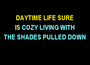 DAYTIME LIFE SURE
IS COZY LIVING WITH
THE SHADES PULLED DOWN
