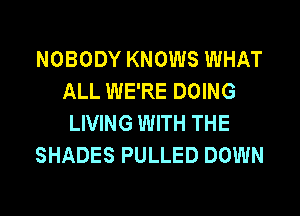 NOBODY KNOWS WHAT
ALL WE'RE DOING
LIVING WITH THE
SHADES PULLED DOWN