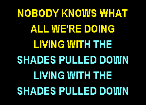 NOBODY KNOWS WHAT
ALL WE'RE DOING
LIVING WITH THE
SHADES PULLED DOWN
LIVING WITH THE
SHADES PULLED DOWN