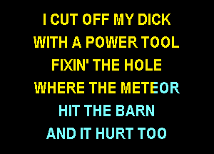 I CUT OFF MY DICK
WITH A POWER TOOL
FIXIN' THE HOLE
WHERE THE METEOR
HIT THE BARN

AND IT HURT T00 l