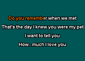 Do you remember when we met
That's the day I knew you were my pet

I want to tell you

How.. much I love you