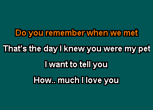 Do you remember when we met
That's the day I knew you were my pet

I want to tell you

How.. much I love you