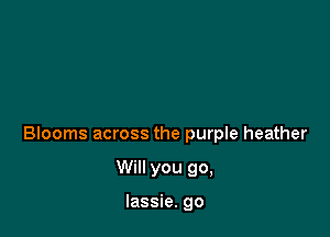Blooms across the purple heather

Will you go,

lassie. go