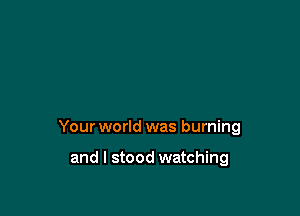 Your world was burning

and I stood watching