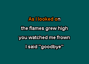 As I looked on
the flames grew high

you watched me frown

I said goodbye