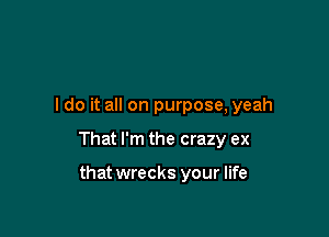 I do it all on purpose, yeah

That I'm the crazy ex

that wrecks your life