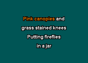 Pink canopies and

grass stained knees

Putting fireflies

in a jar