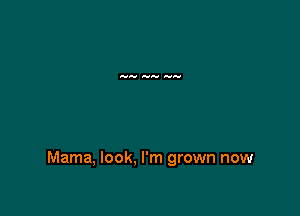 Mama, look, I'm grown now