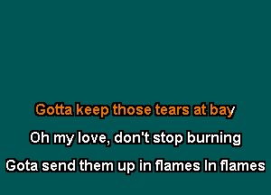 Gotta keep those tears at bay
Oh my love, don't stop burning

Gota send them up in flames In flames