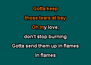 Gotta keep
those tears at bay
Oh my love,

don't stop burning

Gotta send them up in flames

In flames