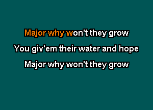 Major why won't they grow

You giv'em their water and hope

Major why won't they grow