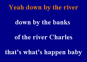 Yeah down by the river
down by the banks
of the river Charles

that's What's happen baby