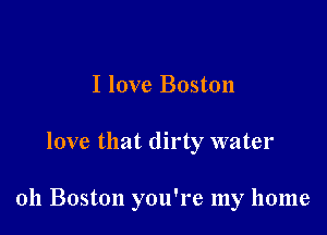 I love Boston

love that dirty water

011 Boston you're my home