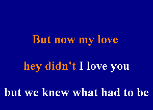 But now my love

hey didn't I love you

but we knew What had to be