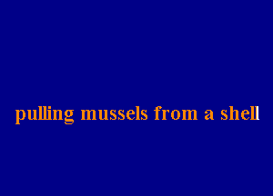 pulling mussels from a shell
