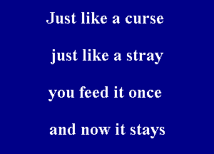 Just like a curse
just like a stray

you feed it once

and now it stays