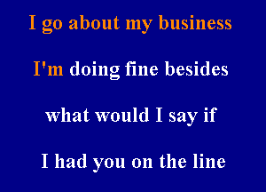 I go about my business
I'm doing fine besides
What would I say if

I had you on the line