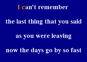 I can't remember
the last thing that you said
as you were leaving

now the days go by so fast