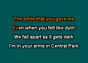 The smile that you gave me

Even when you felt like dyin'

We fall apart as it gets dark

I'm in your arms in Central Park