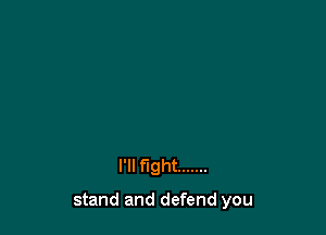 I'll fight .......

stand and defend you