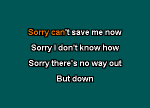 Sorry can't save me now

Sorryl don't know how

Sorry there's no way out

But down