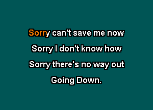 Sorry can't save me now

Sorryl don't know how

Sorry there's no way out

Going Down.