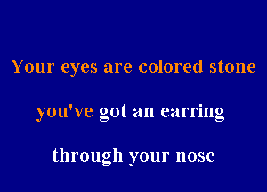 Your eyes are colored stone
you've got an earring

through your nose