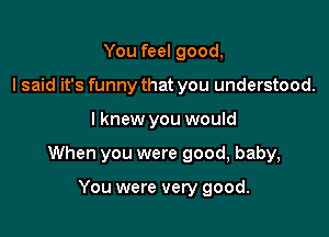 You feel good,
I said it's funny that you understood.

Iknew you would

When you were good, baby,

You were very good.